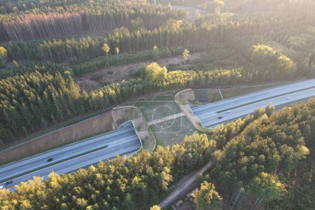 Foto de Una toma aérea de una carretera de ecoductos con tráfico rodeado de bosques verdes - Imagen libre de derechos
