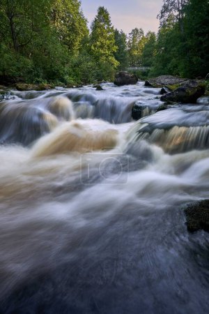 Photo for A vertical shot of a river in the forest - Royalty Free Image
