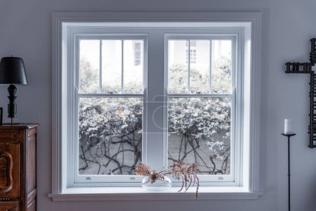 Téléchargez les photos : Une vue des plantes dans la cour arrière depuis la fenêtre d'une maison - en image libre de droit