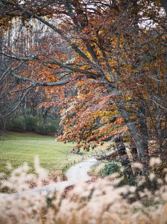 Foto de Una hermosa escena de otoño con un estrecho sendero rodeado de naranjos en un parque en un hermoso día - Imagen libre de derechos