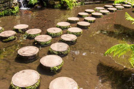 Téléchargez les photos : Un paisible étang peu profond plein de petits escaliers ronds à Madère - en image libre de droit