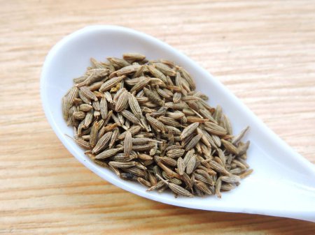 Photo for Cumin seed is used as a spice for its distinctive flavor and aroma. Scientific name - Cuminum cyminum. - Royalty Free Image