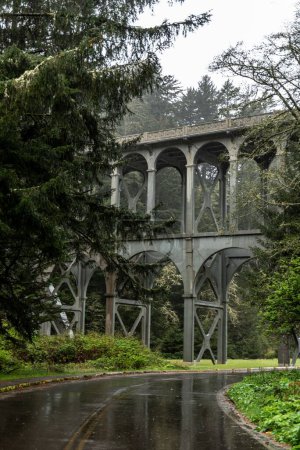 Téléchargez les photos : A vertical shot of a bridge in the forest - en image libre de droit