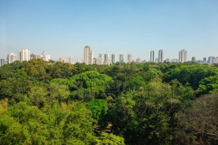 Téléchargez les photos : Vue aérienne sur le paysage urbain de Sao Paulo, gratte-ciel envahissant la forêt. - en image libre de droit