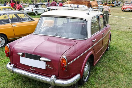 Téléchargez les photos : Vue arrière d'une Fiat Magenta classique modèle 1100 avec paniers sur le dessus dans un champ - en image libre de droit