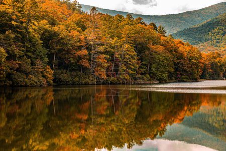 Photo for Yellow trees and autumn foliage reflecting in lake water with mountains in background at Vogel state park - Royalty Free Image