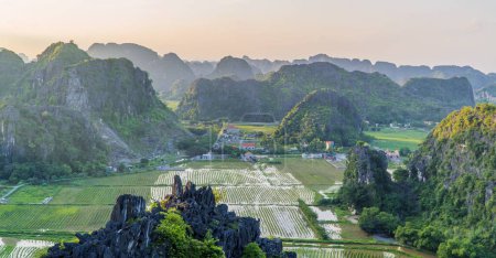 Photo for An aerial shot of the lotus fields and big mountains in Ninh Binh Vietnam during the daytime - Royalty Free Image