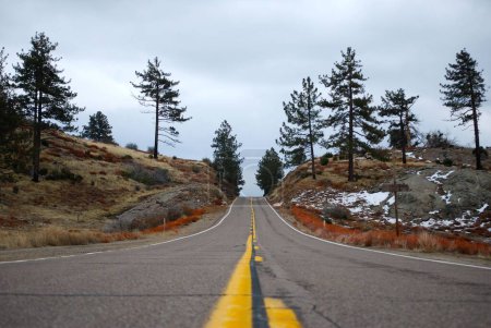 Photo for A road with a yellow line against the background of pine trees and the cloudy sky. Julian, California. - Royalty Free Image