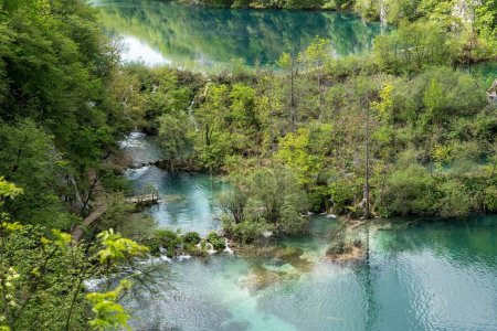 Foto de Un hermoso paisaje de un lago a través de la vegetación fresca en el Parque Nacional de los Lagos de Plitvice - Imagen libre de derechos