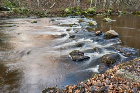 Foto de Un río que corre por el bosque - Imagen libre de derechos