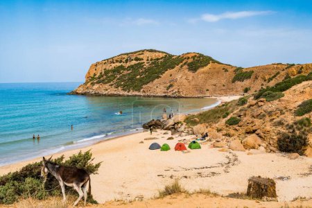 Téléchargez les photos : Un beau cliché d'un littoral rocheux ensoleillé avec une falaise lors d'une journée d'été à Kef Abbed, Tunisie - en image libre de droit