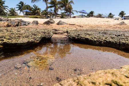 Foto de La playa de Pedra do Sal contaminada con petróleo en Salvador, Brasil - Imagen libre de derechos