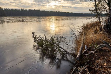 Téléchargez les photos : Un beau plan d'un lac avec un fond d'arbres lors d'un coucher de soleil en hiver - en image libre de droit