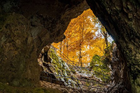 Foto de Un primer plano de una cueva en el parque nacional de Plitvice Lakes en Croacia, árboles de otoño - Imagen libre de derechos