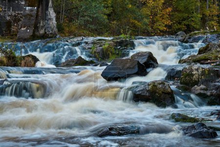 Téléchargez les photos : Un beau cliché d'une rivière rocheuse coulant dans les bois - en image libre de droit