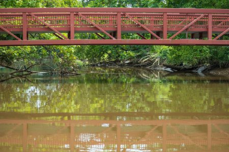 Téléchargez les photos : Un beau cliché d'un pont au-dessus de la rivière Anacostia et des branches tombées dans l'eau dans le Maryland, USA - en image libre de droit