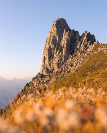 Téléchargez les photos : Un beau coucher de soleil sur la montagne Pierre Avoi et un tapis de fleurs à Saxon, Suisse - en image libre de droit