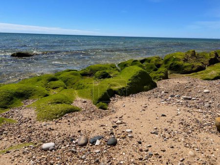 Téléchargez les photos : Un littoral avec des galets et des roches humides sur le fond d'une mer transparente et limpide - en image libre de droit
