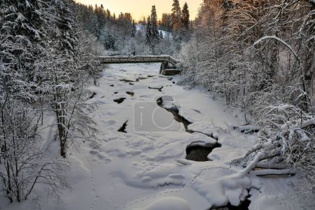 Téléchargez les photos : Plan en angle élevé d'une passerelle traversant une rivière gelée pendant l'hiver - en image libre de droit