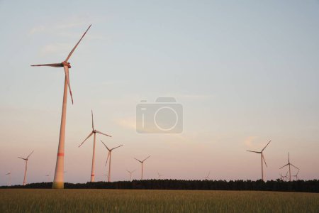 Foto de Una vista panorámica de los molinos de viento que trabajan en un campo durante la puesta del sol - Imagen libre de derechos