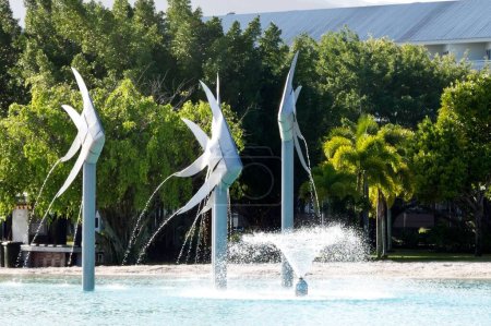 Téléchargez les photos : La piscine de l'Esplanade à Cairns, Queensland, Australie, une piscine publique gratuite pour les habitants et les touristes. - en image libre de droit