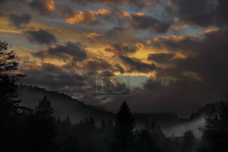 Téléchargez les photos : Un plan à angle bas d'un ciel spectaculaire au coucher du soleil sur une belle forêt - en image libre de droit