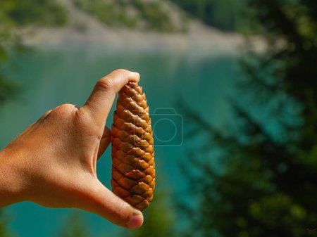 Foto de Un niño sosteniendo un cono de pino con un lago y árboles en el fondo - Imagen libre de derechos