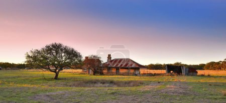 Téléchargez les photos : Une ancienne ferme abandonnée et un hangar, et un bel arbre au coucher du soleil. - en image libre de droit