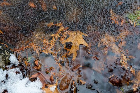 Foto de Las hojas caídas en el río durante una mañana helada - Imagen libre de derechos