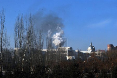 Foto de Un disparo exterior de un humo de fábrica saliendo de la chimenea con árboles en primer plano - Imagen libre de derechos
