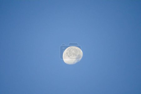 Téléchargez les photos : Une lune déclinante contre un ciel bleu. - en image libre de droit