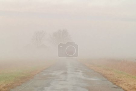 Photo for A beautiful shot of a truck on a road fading in the fog - Royalty Free Image