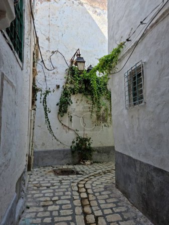Téléchargez les photos : Une rue pavée étroite dans une vieille ville - en image libre de droit