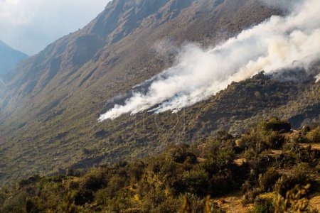 Téléchargez les photos : Les grands panaches de fumée de feu au sommet d'une montagne dans les Andes péruviennes - en image libre de droit
