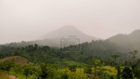 Photo for The cloudy gloomy sky over the green trees and silhouetted hill - Royalty Free Image