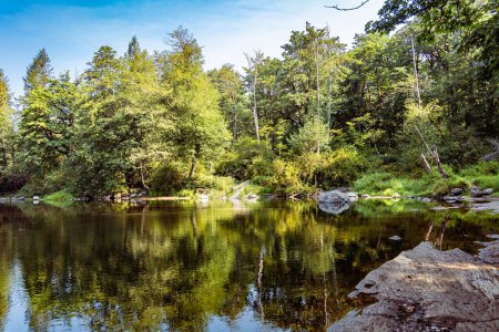 Téléchargez les photos : Une belle vue sur une forêt et un petit lac - en image libre de droit