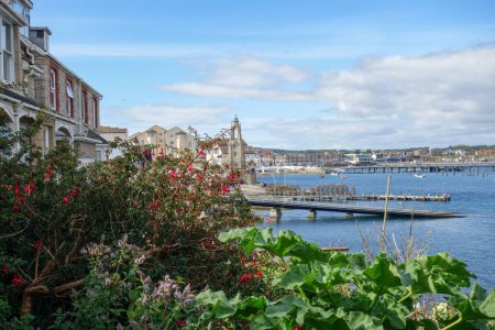 Téléchargez les photos : Un plan de verdure et de plantes au premier plan avec les bâtiments de Swanage, Royaume-Uni dans le backgorund, et le port. - en image libre de droit