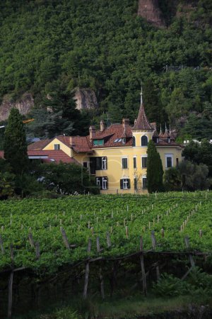 Téléchargez les photos : Une verticale de Lindenburg immeuble de résidence à une montagne entourée de vignobles à Bolzano, Italie - en image libre de droit