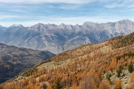 Téléchargez les photos : Panorama des collines et des montagnes de la vallée suisse de Balavaux et de la région de Nendaz avec les mélèzes les plus anciens et les plus élevés d'Europe. - en image libre de droit