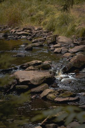 Photo for A vertical shot of a river flowing through rocks surrounded by greenery - Royalty Free Image