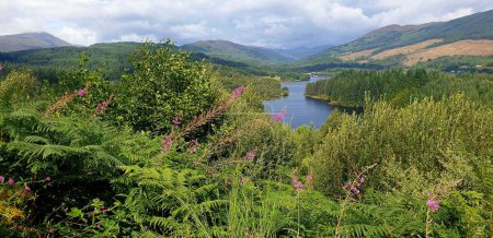 Photo for A panoramic shot of a Lake among green highlands in a Lake district waterfal - Royalty Free Image