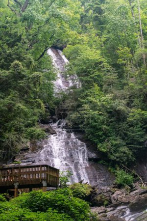 Téléchargez les photos : Une petite cascade sur des rochers entourés de verdure dans une forêt à la lumière du jour - en image libre de droit