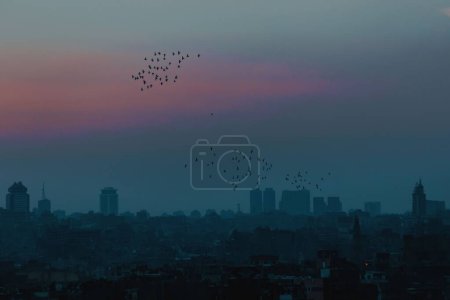 Foto de Un hermoso paisaje urbano de El Cairo al atardecer con bandadas de aves en el cielo - Imagen libre de derechos
