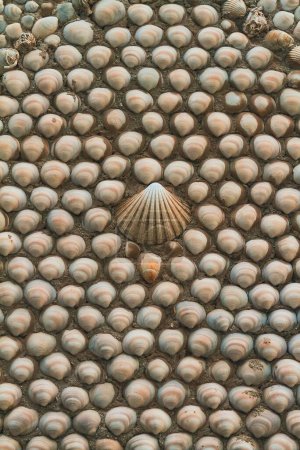 Foto de Una pared decorada con conchas de berberechos - Imagen libre de derechos