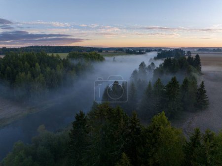 Photo for A scenic view of forest landscape during a foggy morning - Royalty Free Image