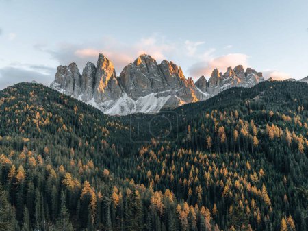 Téléchargez les photos : Une vaste forêt d'automne avec de grandes montagnes en arrière-plan sur le ciel bleu - en image libre de droit