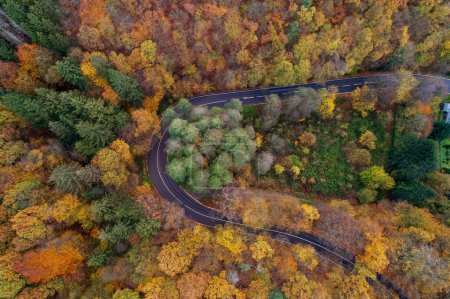 Foto de Una vista aérea de una carretera con árboles de colores alrededor en Solingen en Alemania - Imagen libre de derechos