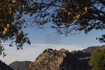 Photo for An aerial view of a beautiful forest near the mountains in Cadiz, Spain - Royalty Free Image