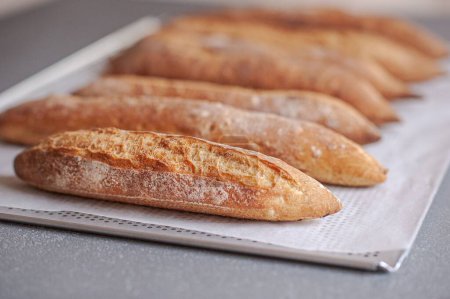 Photo for The fresh assortments of baguette breads on the table in the bakery - Royalty Free Image