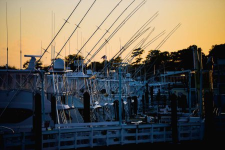 Téléchargez les photos : Une vue aérienne des bateaux à quai en Virginie pendant le coucher du soleil - en image libre de droit